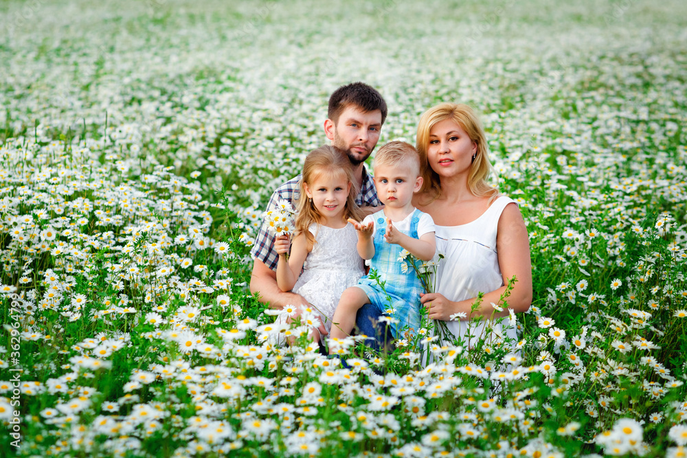 Happy family, mom, dad, son and daughter in a field of daisies. Summertime.