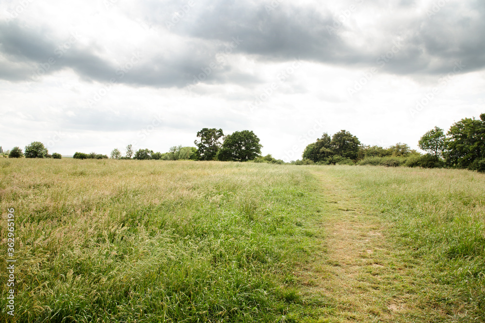 walkway along a farmer field