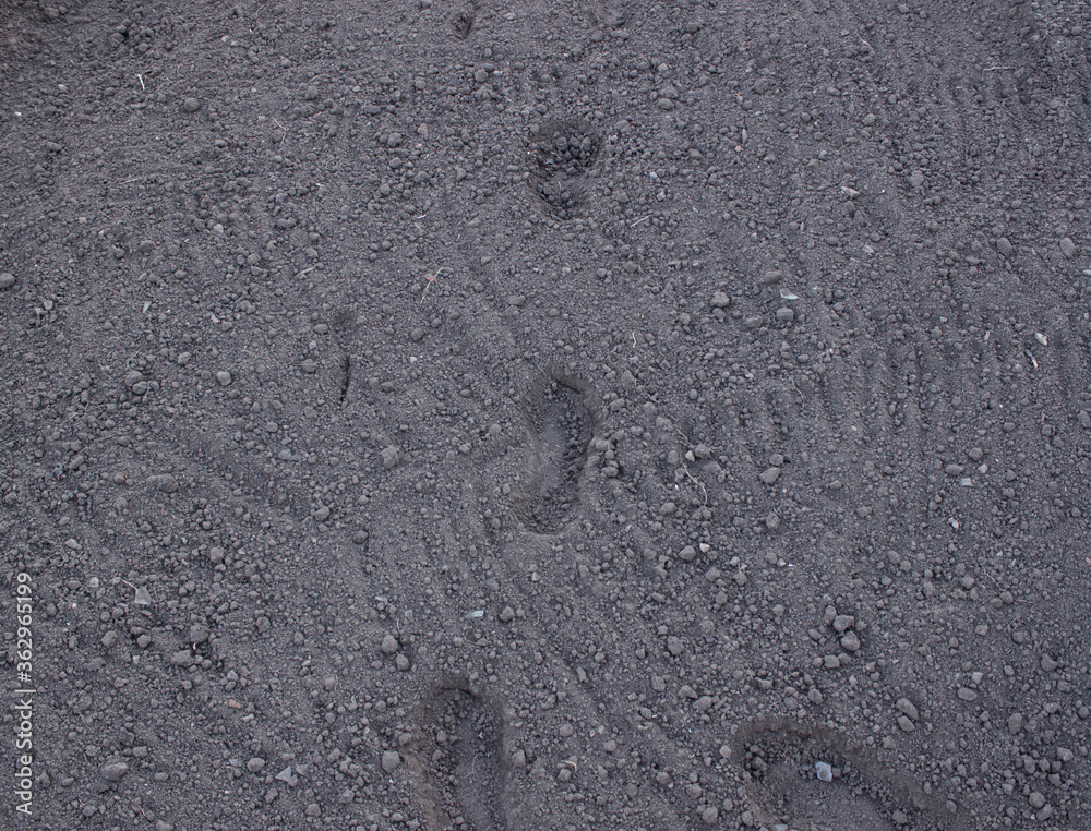 Trampled on the flat ground in the garden. Footprints on the ground. Trampled on the flat ground in the garden. Footprints on the ground.