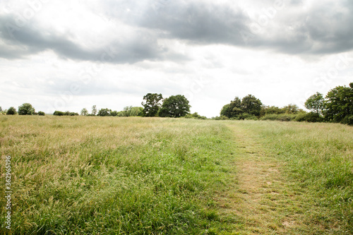 walkway along a farmer field