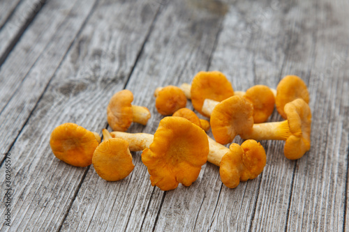 chanterelle mushrooms on a wooden table
