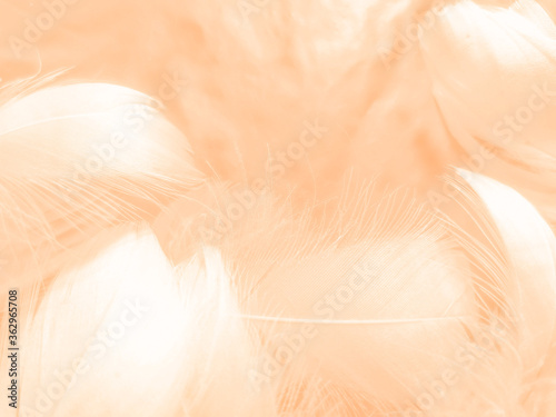 Beautiful abstract white and light orange feathers on white background, soft brown feather texture on white patter, yellow feather background © Weerayuth