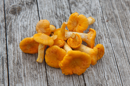 chanterelle mushrooms on a wooden table
