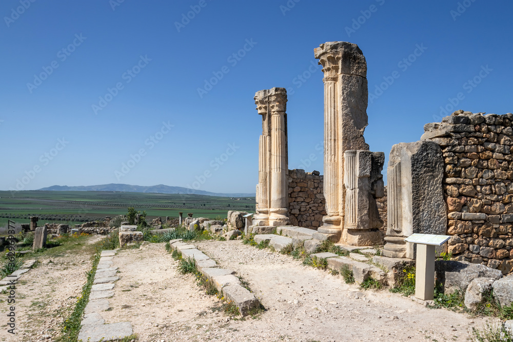 The antique city Volubilis in Morocco Africa