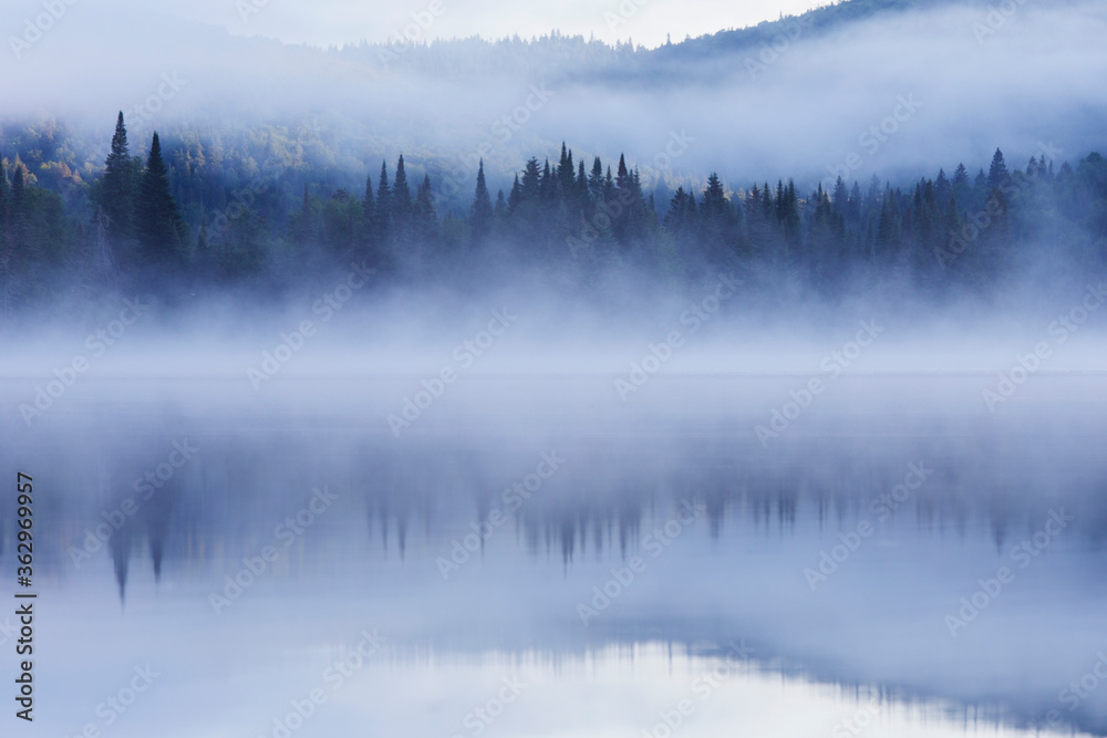 Summer morning in Mont-Tremblant national park Summer morning in Mont-Tremblant national park