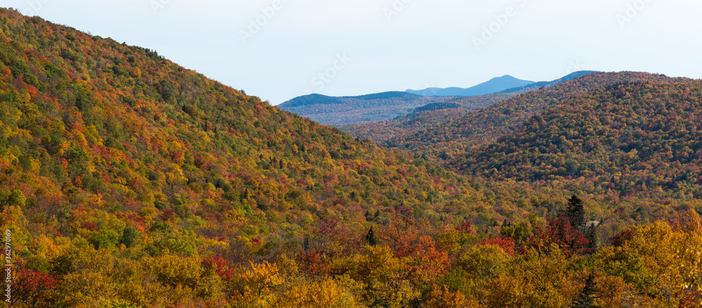 A panoramic view of the golden White Mountains.