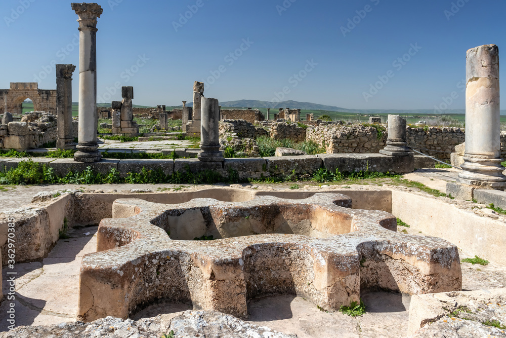 The antique city Volubilis in Morocco Africa
