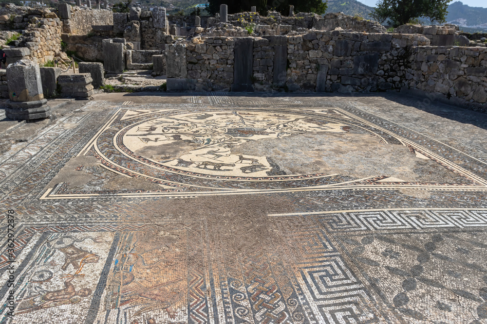 The antique mosaic of Volubilis in Morocco