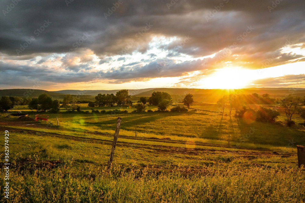 Obraz premium Sunset over the field