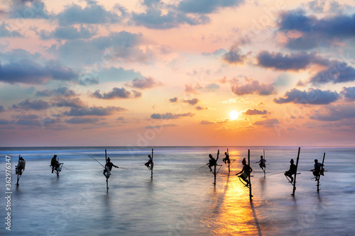 Fotografiet Fishermen on stilts in silhouette at the sunset in Galle, Sri Lanka