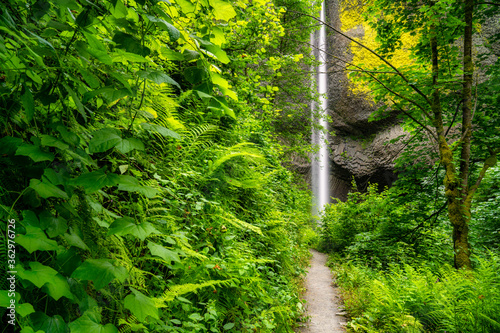 Latourell Falls in the Columbia River Gorge in Oregon photo