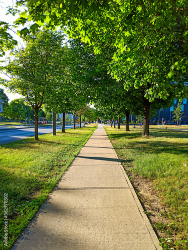 Foto alley in the park