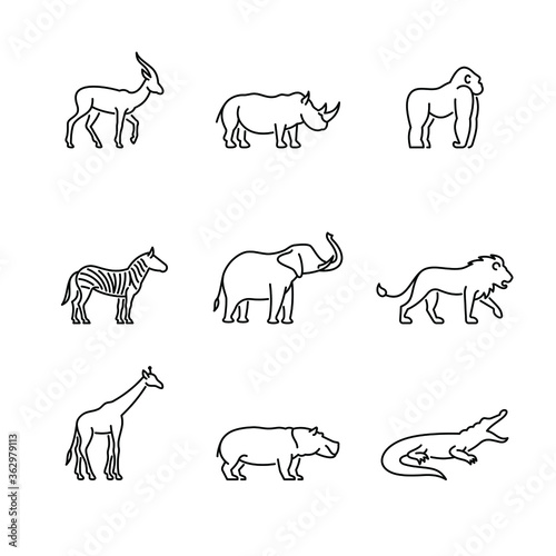 African wild animals icon vector set.