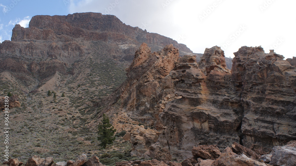 Fototapeta premium Tenerife - Canary Island in the Atlantic Ocean