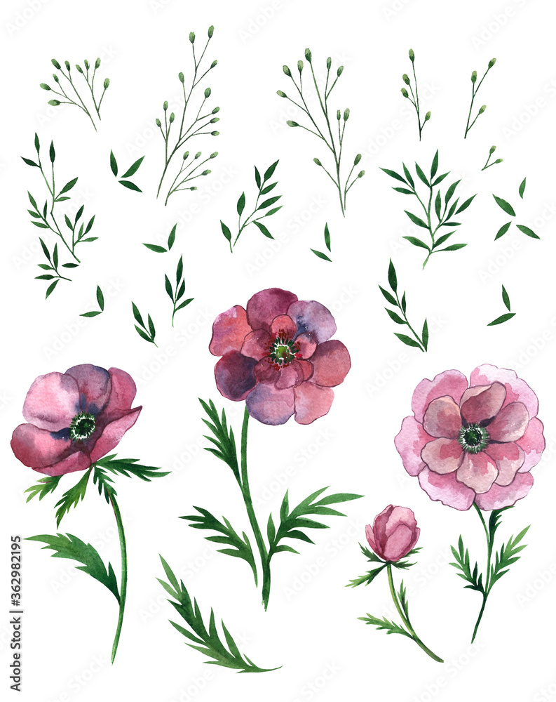 Floral watercolor set with pink daisies.