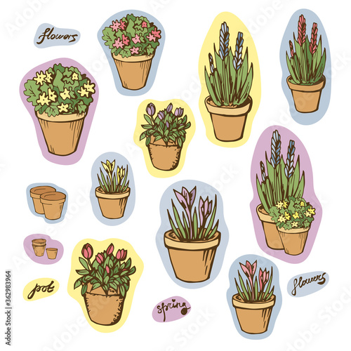 Bright style set stickers with flowerpots, flower, pot, lettering. Collection of isolated elements on white background. Art hand drawn vector illustration object. Home, garden, interior decor design.