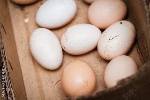Homemade eco-friendly eggs lay folded in a cardboard box for storage