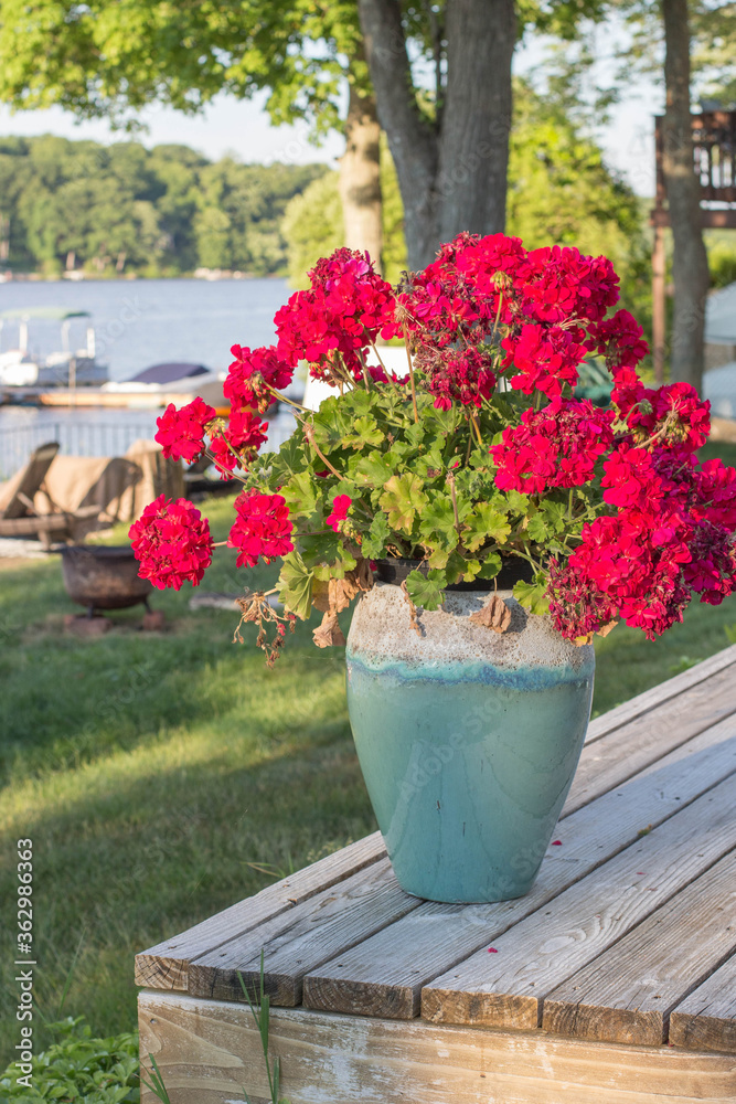 red flowers by the lake