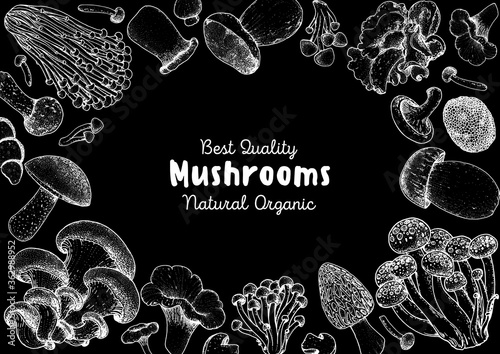 Edible mushrooms hand drawn sketch. Vector illustrations collection. Hand drawn food. Vintage mushrooms sketch. Organic food. Forest mushrooms. Vintage mushrooms background. Healthy food illustration.