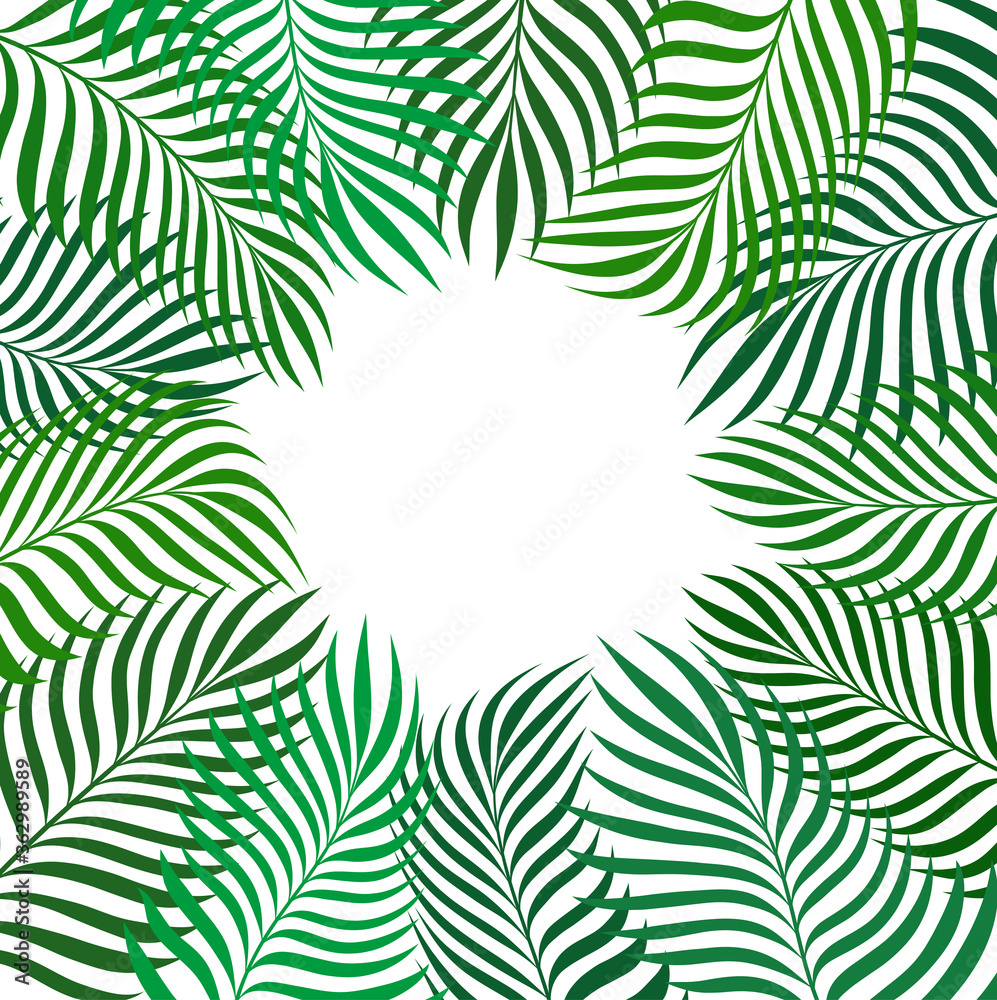 banana palm leaves background pattern for design tropical rest card on white, stock vector illustration