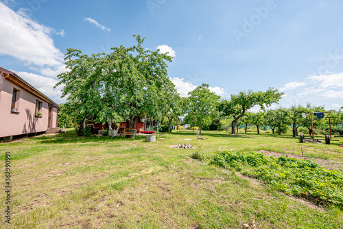 Private garden near a house full of trees, bushes and grass on sunny day. © Eliška