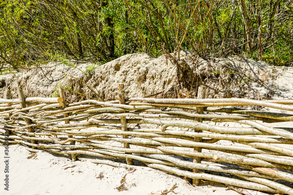 Fototapeta premium Wicker fences on the beach for the detention of sand movement and the reduction of man made effects