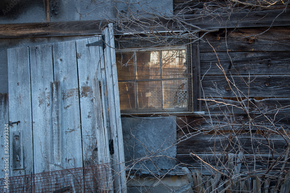 Weathered shed door and window with overgrown brush. Commentary on the state of decay in the countryside. Weathered shed door and window with overgrown brush. Commentary on the state of decay in the countryside.