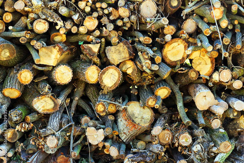 Woodpile. Wooden log pattern background.