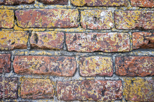 old brick wall
