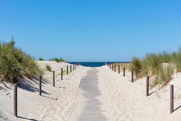 Crédence de cuisine Descente vers la plage Chemin dans les dunes vers la mer Baltique  © Björn Wylezich
