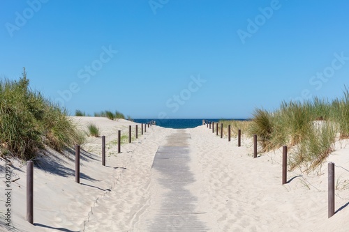path through the dunes to the Baltic Sea