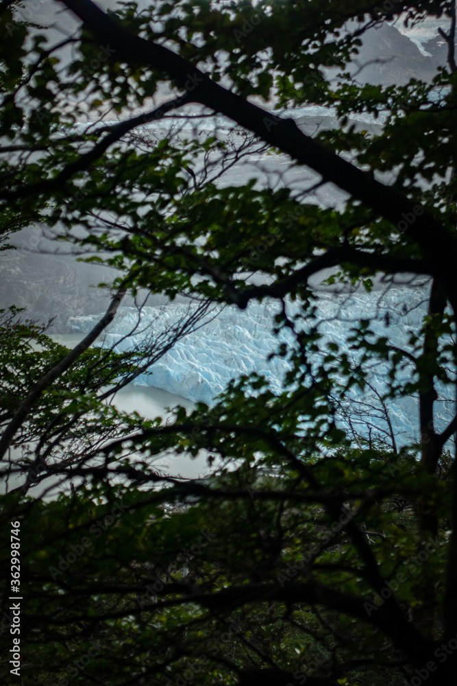 The edge of a glacier is seen through a gap in the tree branches and leaves. There is a glacial lake at the foot of the glacier. Torres del Paine National Park, Patagonia, Chile The edge of a glacier is seen through a gap in the tree branches and leaves. There is a glacial lake at the foot of the glacier. Torres del Paine National Park, Patagonia, Chile