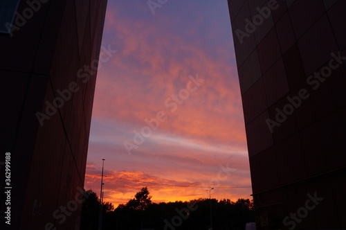 sunset in the city
