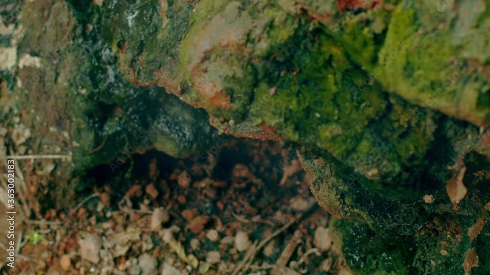 A close up of a rock formation that houses a volcanic vent surrounded by moss. A close up of a rock formation that houses a volcanic vent surrounded by moss.