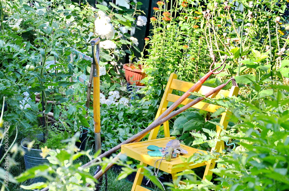 Garden tools and vegetables in an urban garden during the Coronavirus Pandemic Garden tools and vegetables in an urban garden during the Coronavirus Pandemic