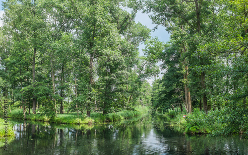 Spreewald Kanal