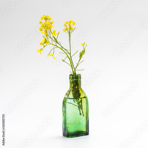 Seamless background of flower and leaves mustard.