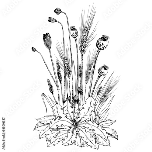 Floral composition with wheat spikelets, poppy seed boxes and wild flowers.
