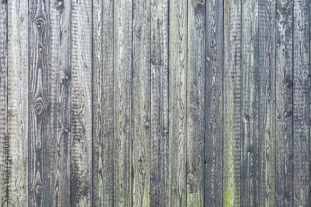 Fototapeta premium Vertical green grey wooden fence as a background. Close up of wooden weathered barn boards with peeling red and green paint, great vintage texture.