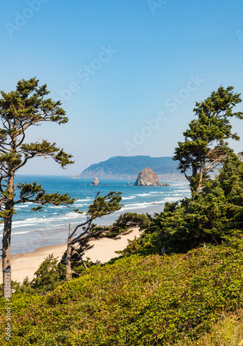 Vertical Image - Green trees frame view of Haystack Rock and Cannon beach in Oregon