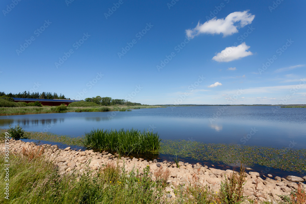Stones and reed at the shore of the Lake Filsø (Denmark) on a sunny summer day with blue sky, tranquil water and scenic white clouds