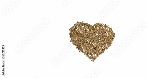 Grains of wheat barley rye oat on white background, natural dry grain in form of heart in right, wheat grains isolated top view. Free space for text Concept photo love of nature Banner for web site
