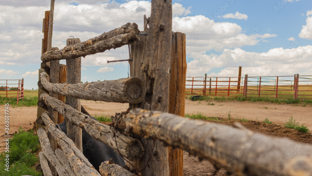 Rustic log fence with metal fence panels in the distance at a livestock corral on the Colorado prairie near Denver