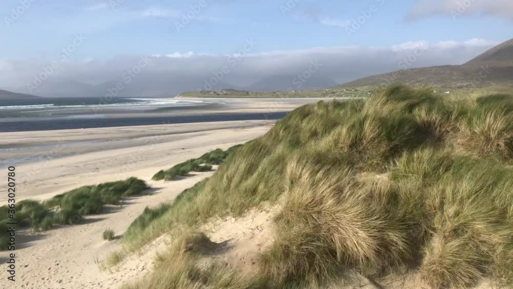 Beach at Luskentyre with dune grasses blowing in the foreground, Isle of Harris, Outer Hebrides, Scotland