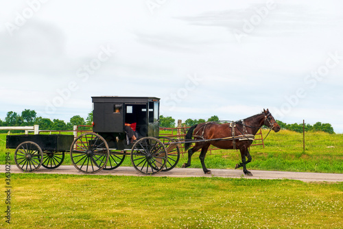 Amish Horse and buggy pulling wagon