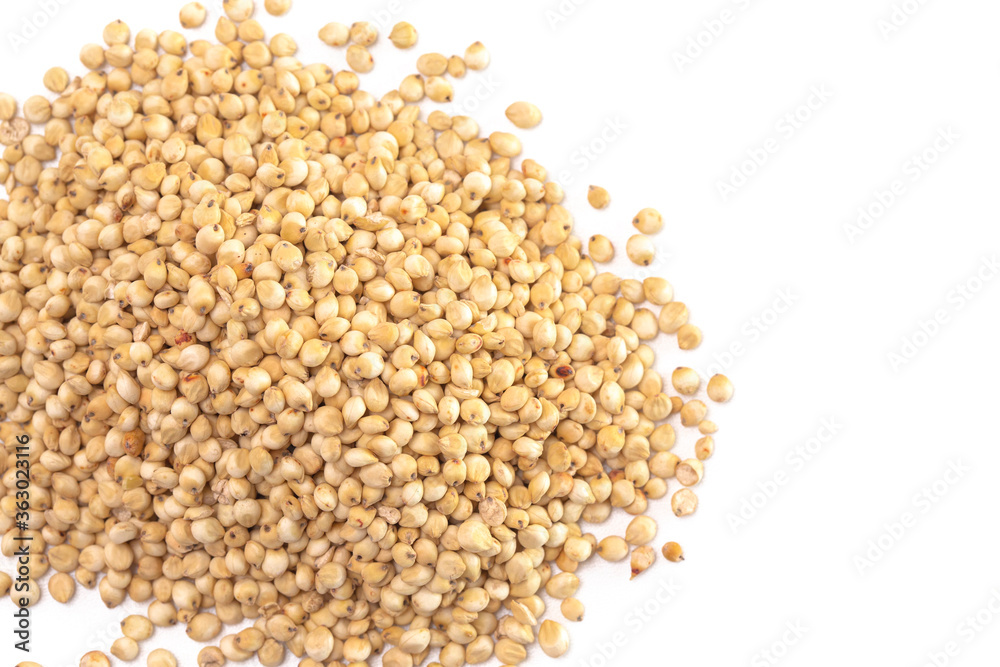 Pile of Sprouted Sorghum Isolated on a White Background Pile of Sprouted Sorghum Isolated on a White Background