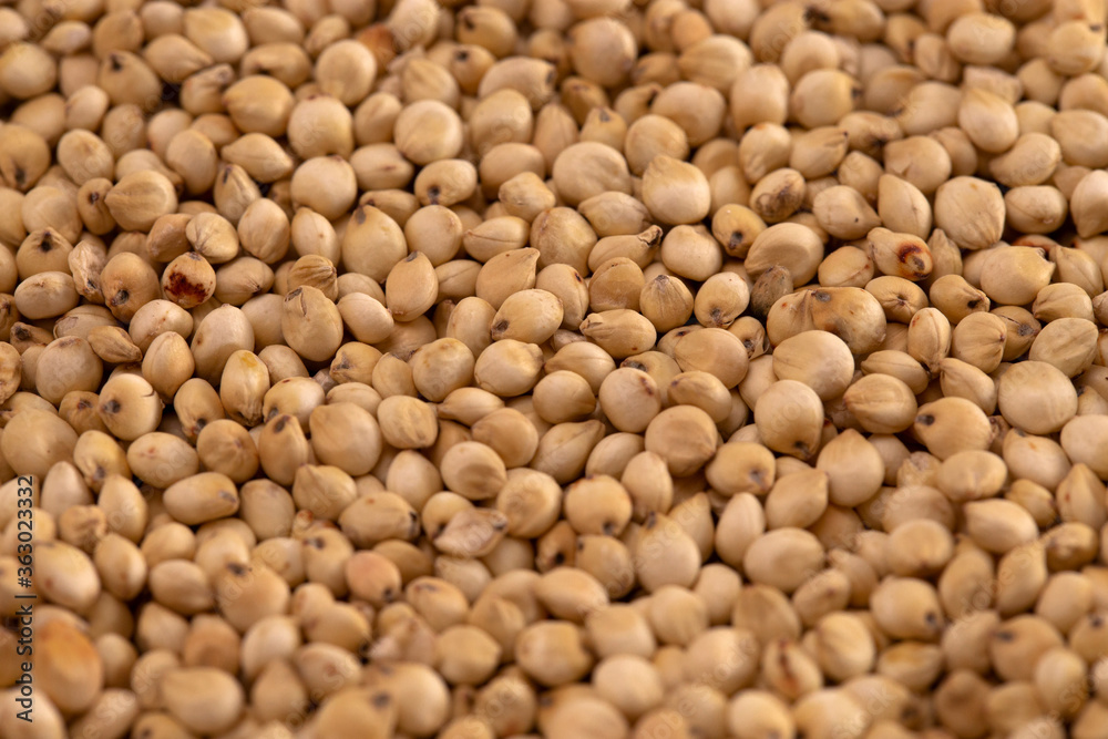 Background of Sprouted Sorghum Grains