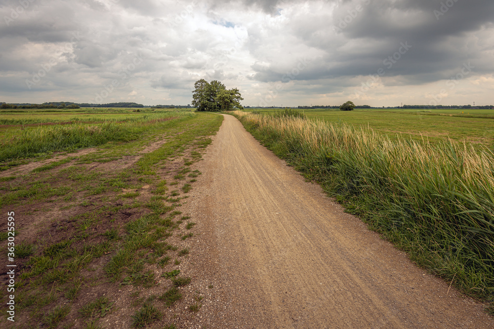 Dramatic cloudy sky over a winding gravel road in a rural landscape