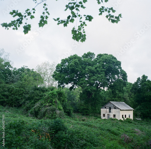 house in the woods