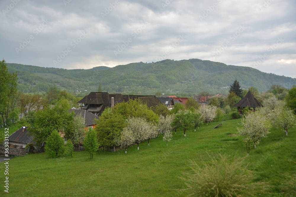 Barsana monastery, Maramures, Romania, Europe, spring 2018. Beautiful views of green meadows with houses from Barsana monastery.